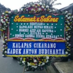 BP 049 Sukses
