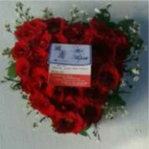 HB 003 Love