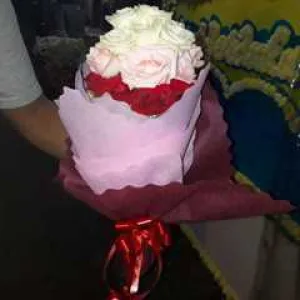HB 009 Bulat