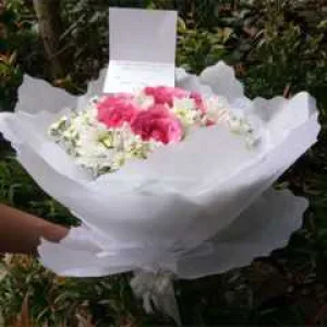HB 010 Bulat