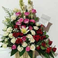 BM 001 Mawar