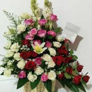 BM 001 Mawar