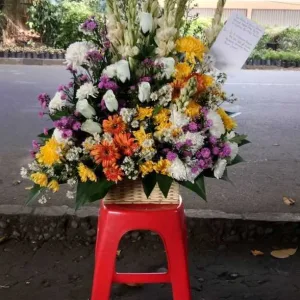 BM 005 Mawar