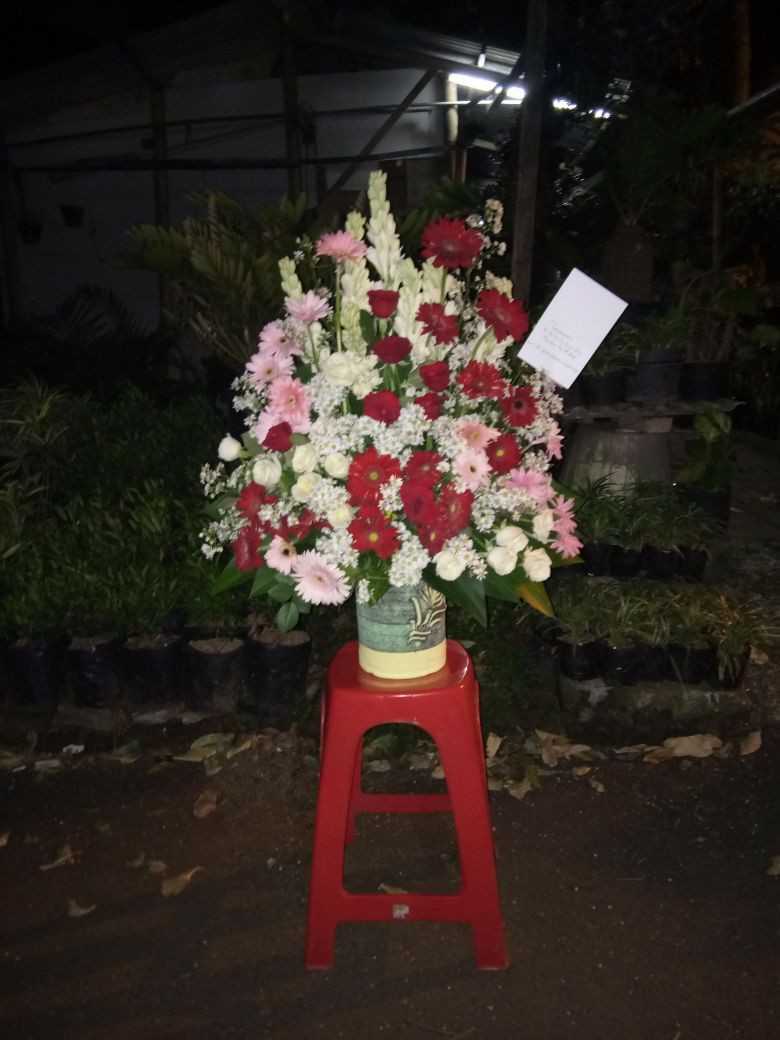BM 006 Mawar