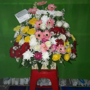 BM 008 Mawar