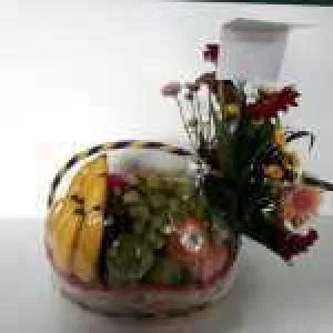 PCL 003 Buah